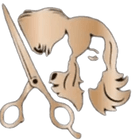 Bita Hair Studio logo