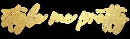style me pretty logo