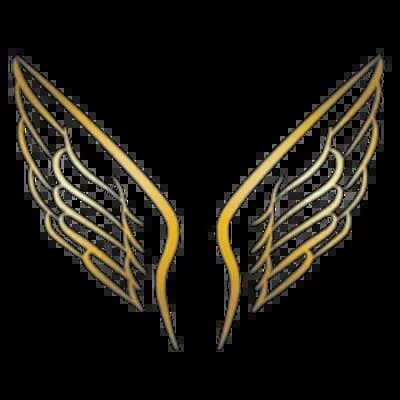 Million Dollar Look logo